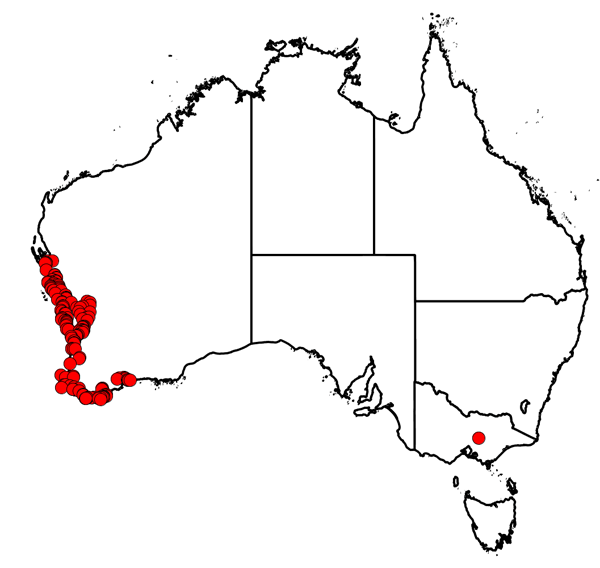 Brummitt's collecting locations
