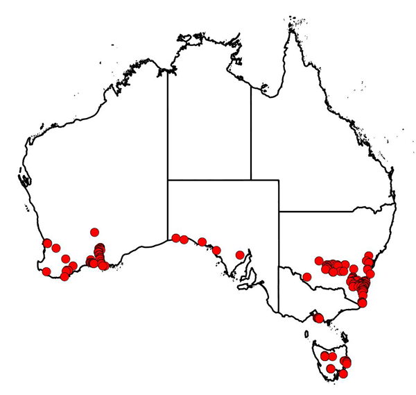 Effie Mullins herbarium collections map