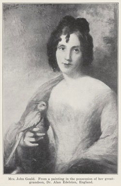 portrait Elizabeth Gould, NLA
