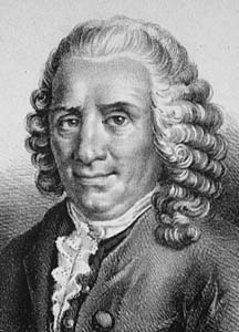 Carolus Linnaeus