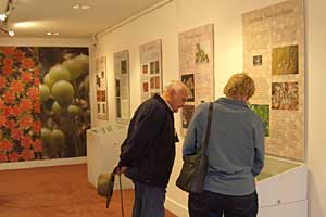 Cryptogam display, ANBG Visitor Centre