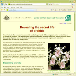 web screen