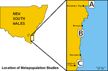 Location of Cakile-Alternaria metapopulation studies