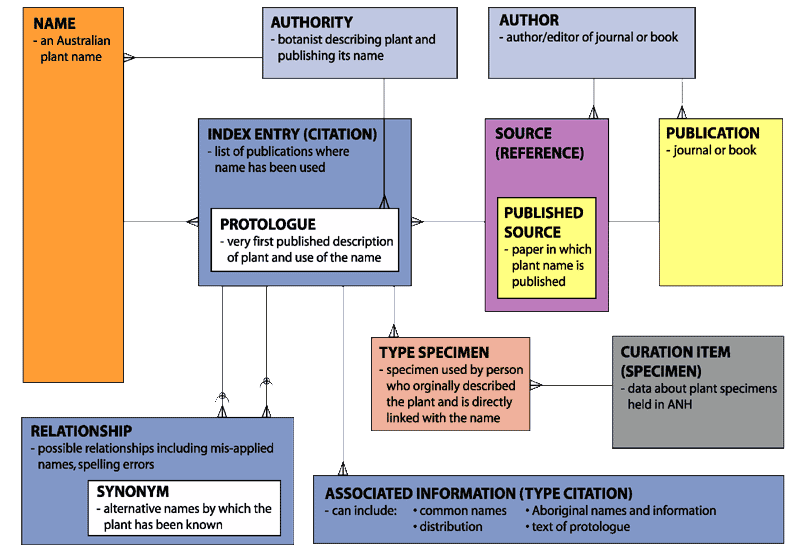 Dfat Org Chart