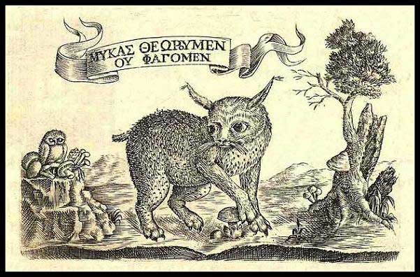 Lynx from Fungorum Agri