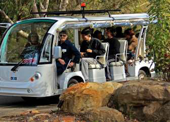 Flora Explorer Tour bus