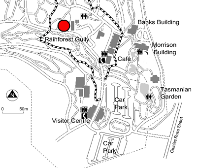 Brittle Gum Lawn map