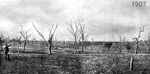Harden landscape 1907
