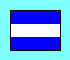 flag image