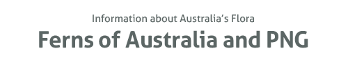 Information about Australia's flora Ferns of Australia and PNG