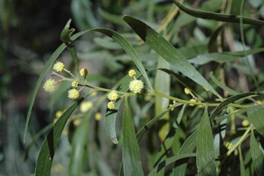 photo © contact APII