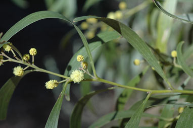 photo © contact APII