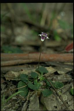 photo © contact APII