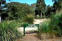 photo monocot section