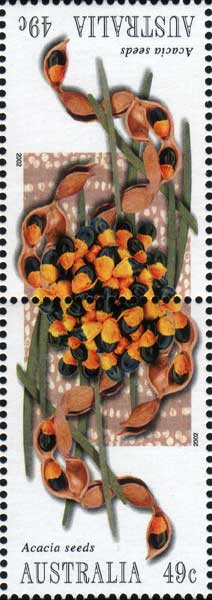 stamp: Acacia coreacea