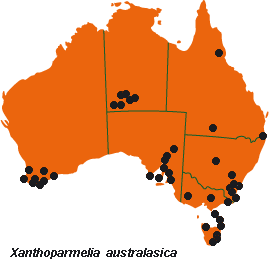 Xanthoparmelia australasica distribution