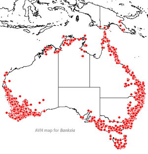 Banksia distribution map