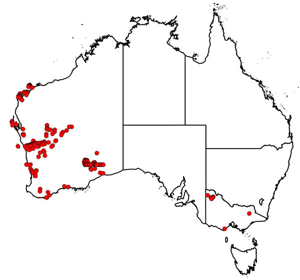 Goodall, David William, map