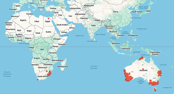 world collecting locality map for 'Ross, J.H.'