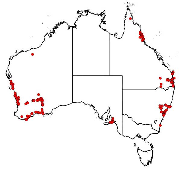 Grady Webster biography