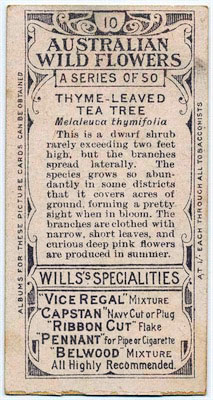 cigarette card back