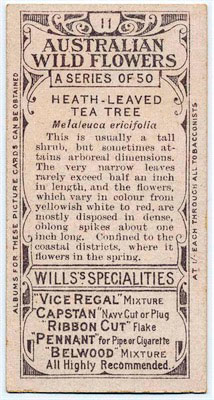 cigarette card back