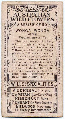 cigarette card back