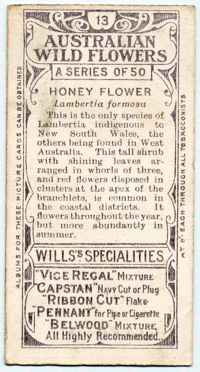 wills cigarettes cards value Cigarette Cards - Wills' Australian Wildflower series