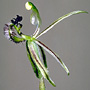 Drakonorchis