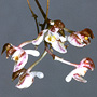 Schistotylus