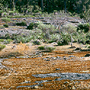 Granite rock, Blue Rocks, Jarrahdale, WA