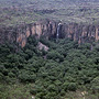 Monsoon forest at base of waterfall in sandstone escarpment, Arnhem Land, NT