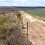 Impact of clearing shrubland, Eneabba, WA