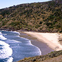 Grassy headlands, Hat Head, NSW