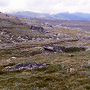 Grassy feldmark in subalpine area above Thredbo, NSW