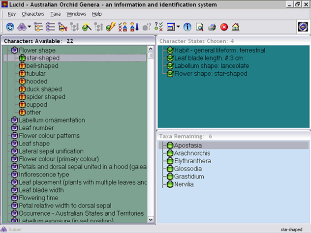 Screen with flower shape character state selected