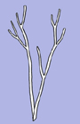 image fullsize