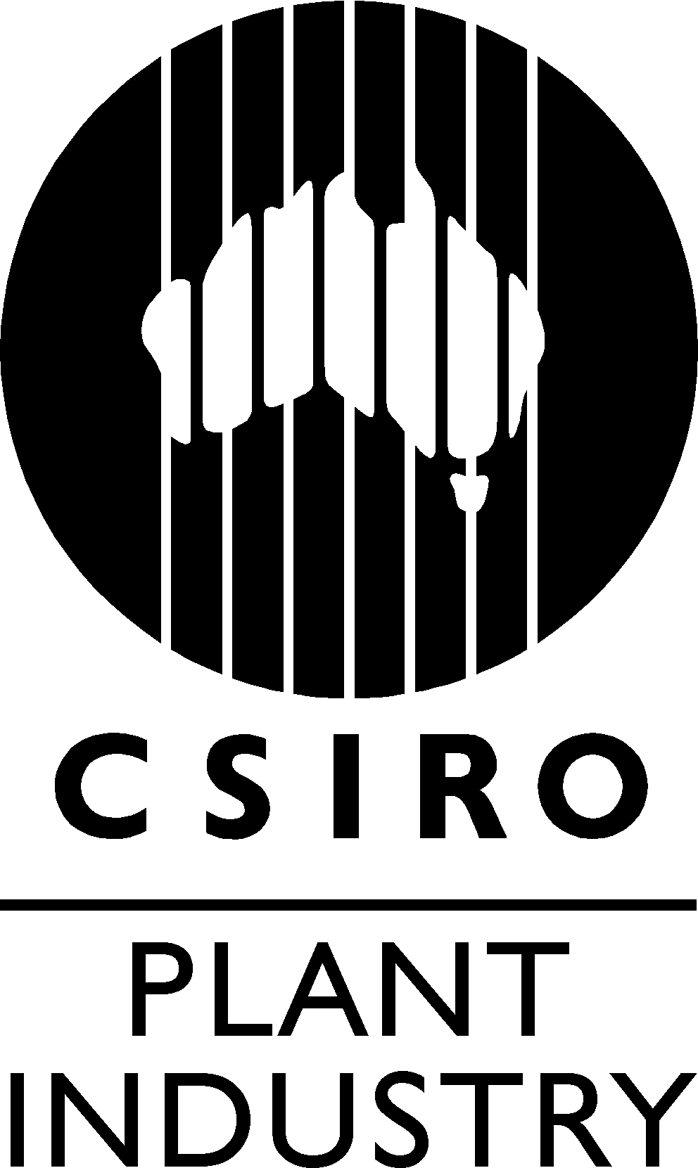 CSIRO logo