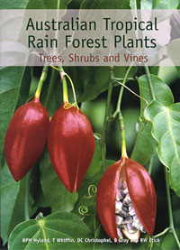 Tropical Rainforest Plants Names List - nature wallpaper