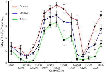 Changes in disease prevalence in 3 subregions of the Cakile metapopulation