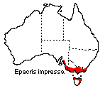 Epacris impressa distribution map