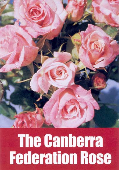 Canberra Federation Rose