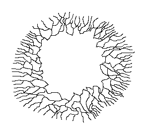 Mycelium