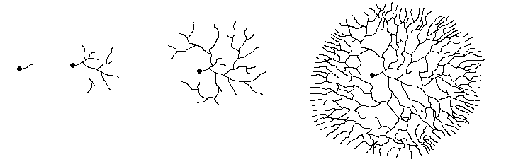 Mycelium - an overview