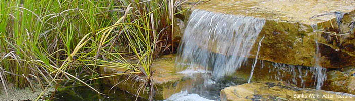 water feature