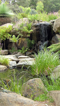 photo of Rock Garden