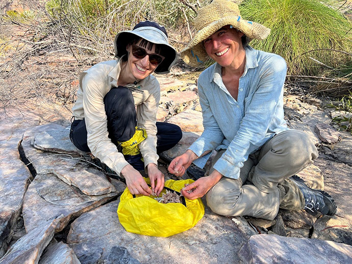 Team collecting seed in Kakadu National Park
