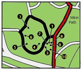 map showing conifer location