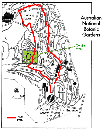 map showing location of Conifer Walk