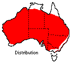 distribution map